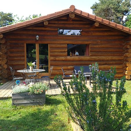 Pialous:Chalet En Rondins Avec Espace Detente La Chapelle-d'Aurec Zewnętrze zdjęcie
