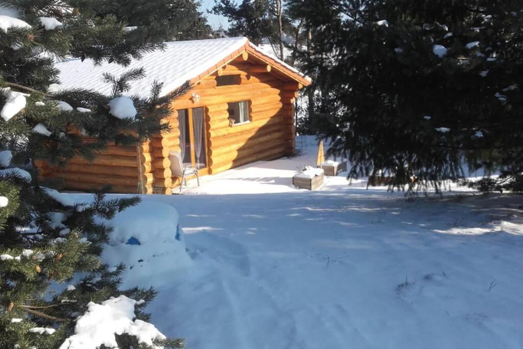 Pialous:Chalet En Rondins Avec Espace Detente La Chapelle-d'Aurec Zewnętrze zdjęcie