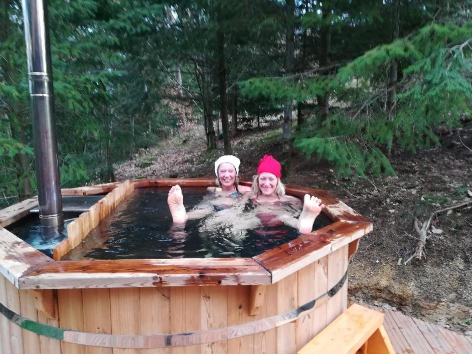 Pialous:Chalet En Rondins Avec Espace Detente La Chapelle-d'Aurec Zewnętrze zdjęcie